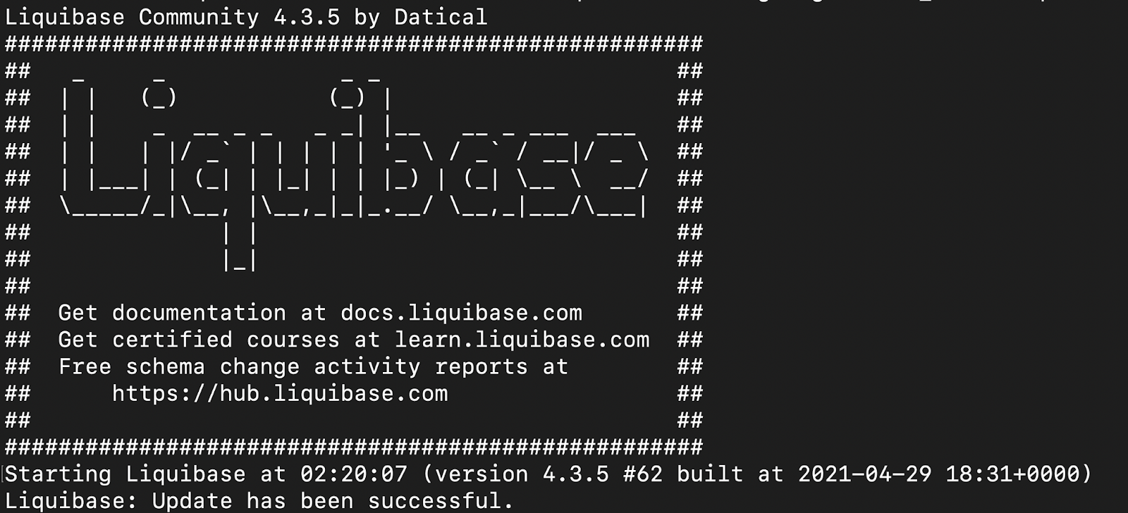 Liquibase startup Liquibase startup